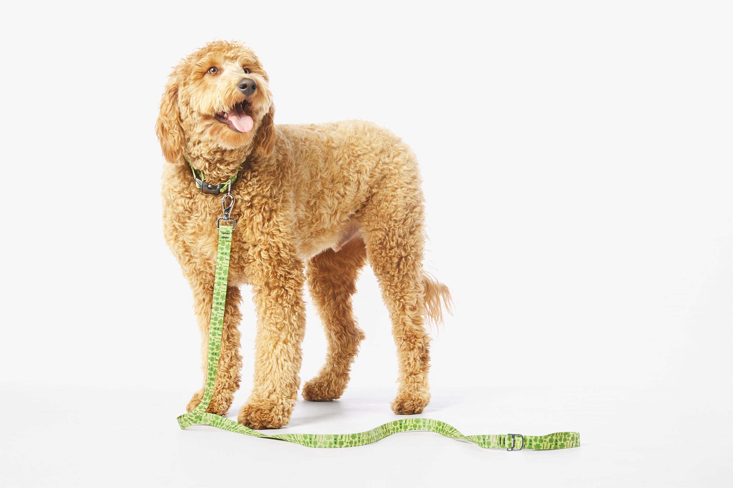 ParaNorman Zombie Leash