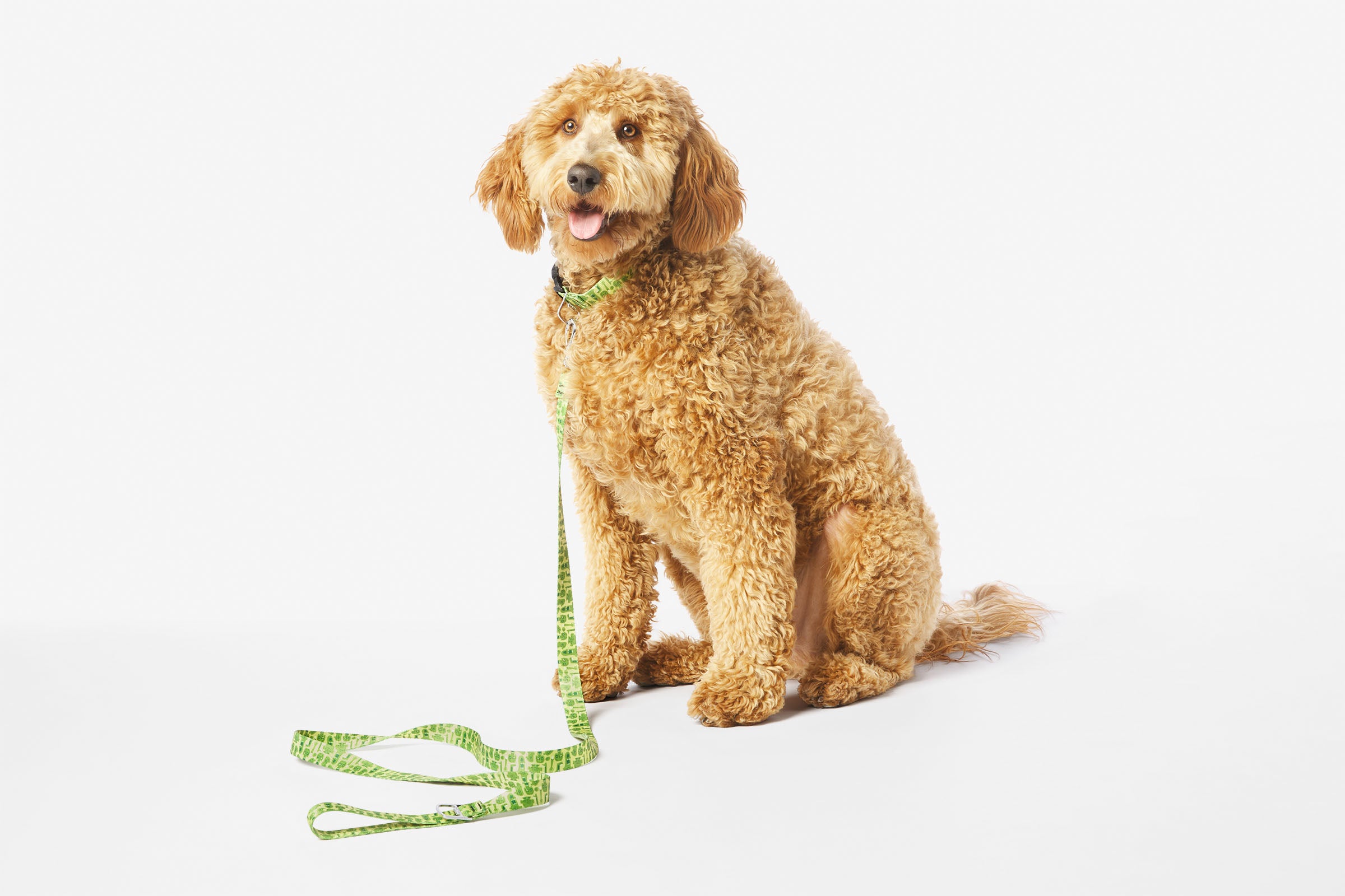 ParaNorman Zombie Leash