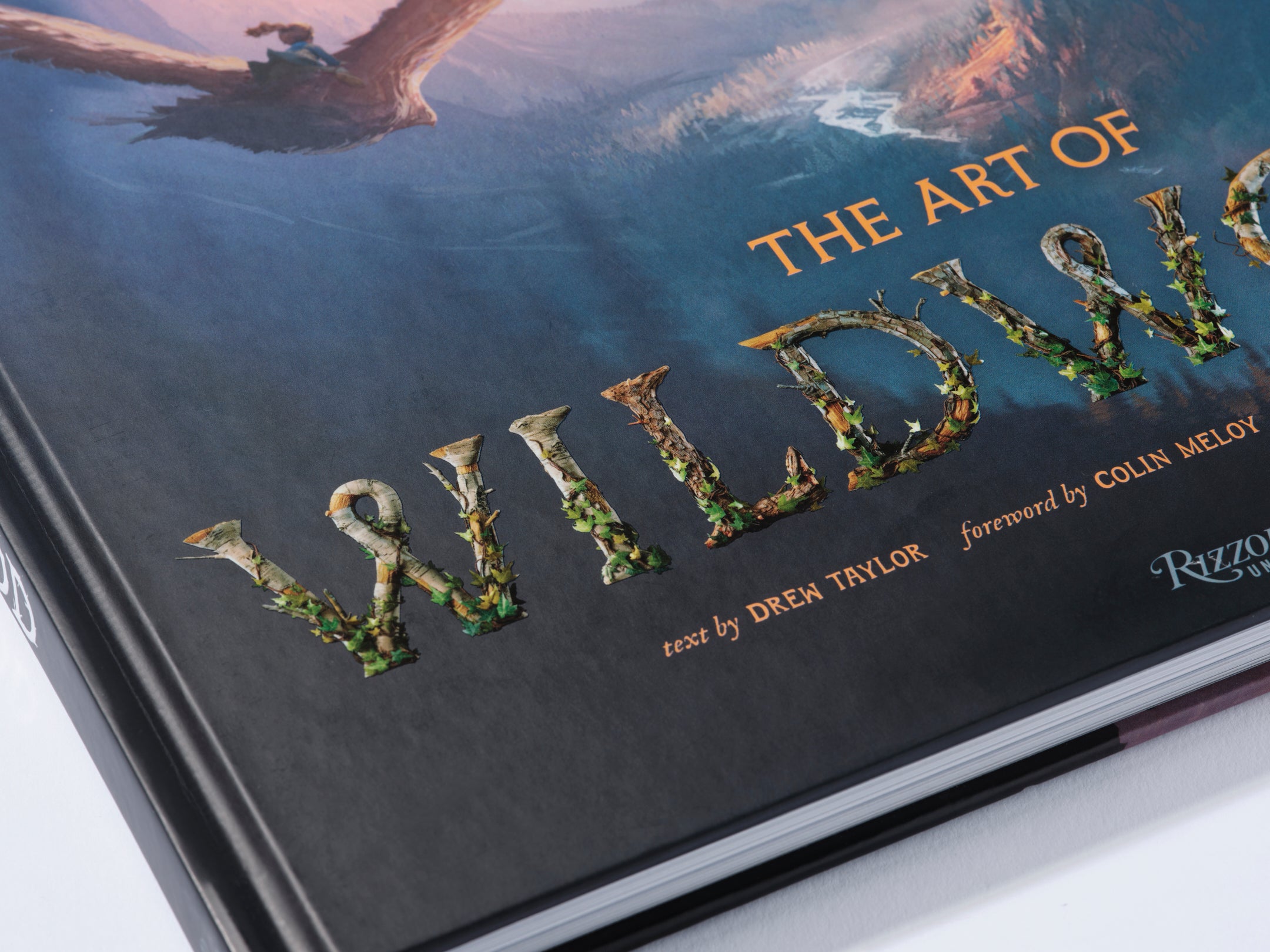 Art of Wildwood: Studio Edition