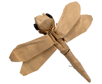 Coraline Dragonfly