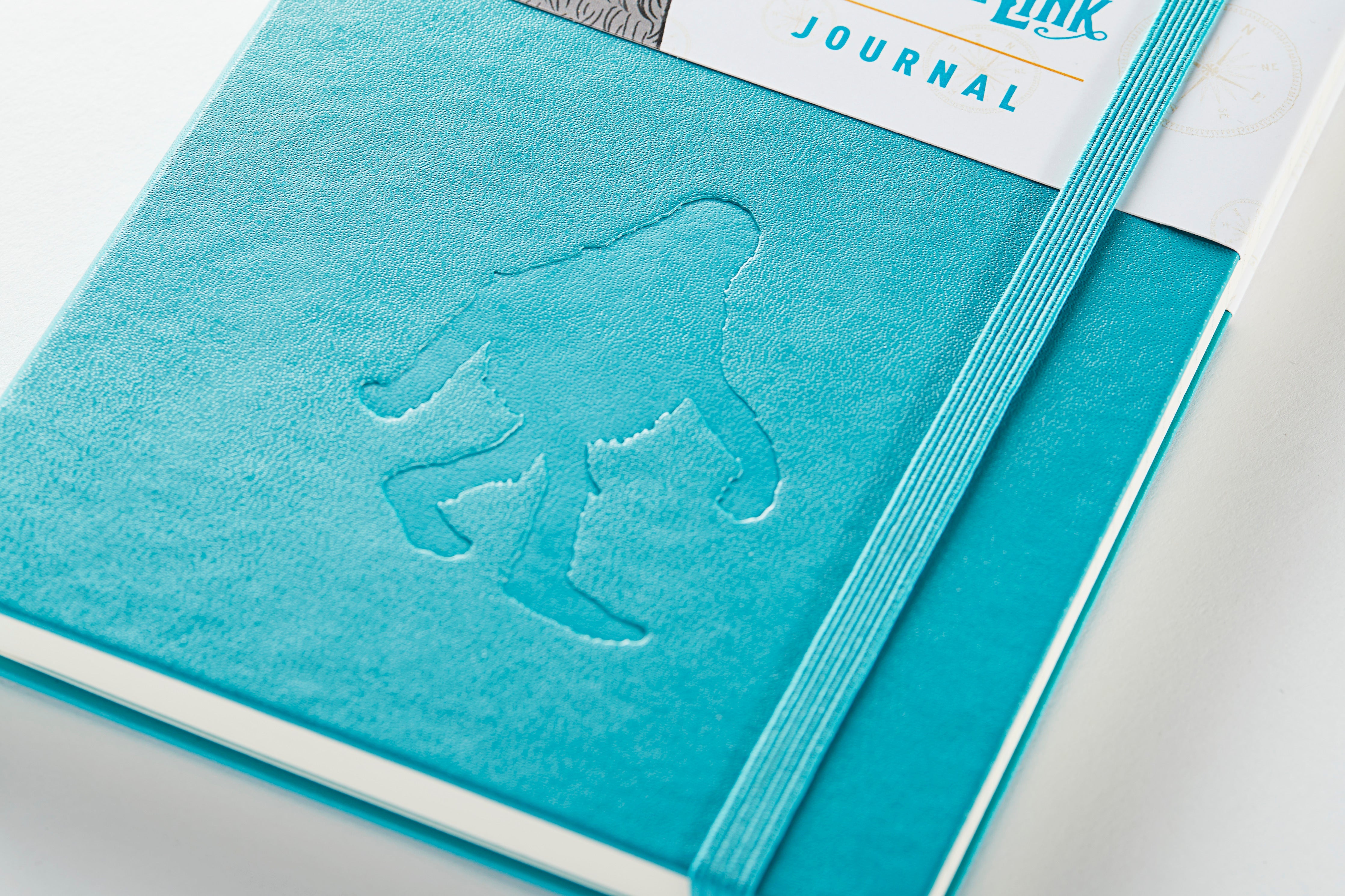 Missing Link Moleskine Notebook