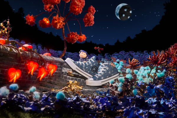 Converse Image