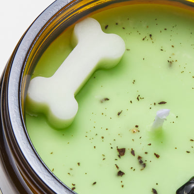 ParaNorman "Zombie Repellent" Candle